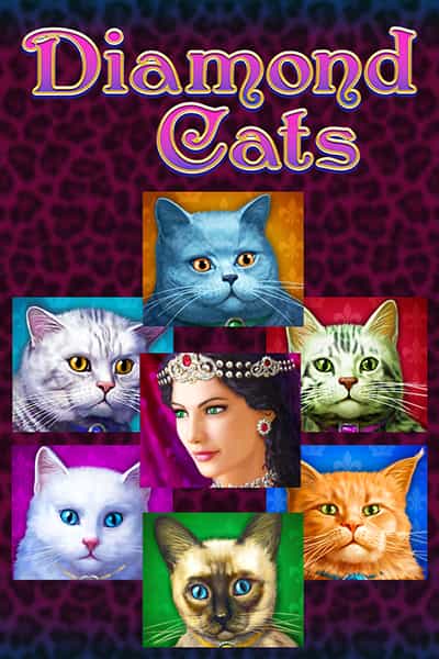 Diamond Cats